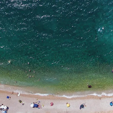 Amazing In With Sauna ウマグ